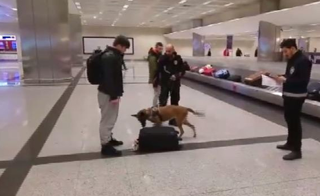 Atatürk Havalimanı'nda Hollandalı yolculara köpekli arama