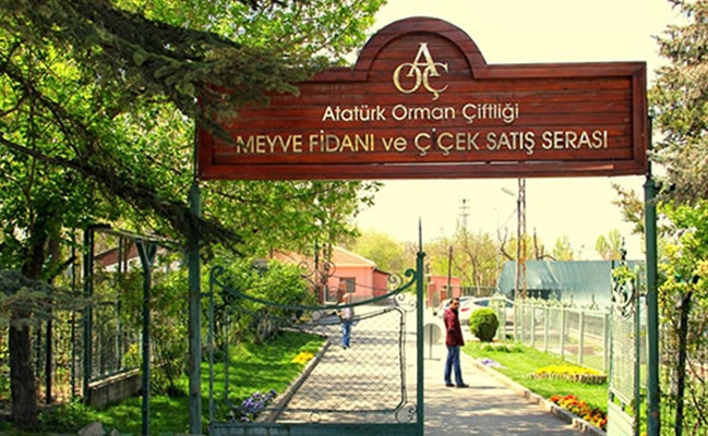 Atatürk Orman Çiftliği belediyeye tahsis edilecek 