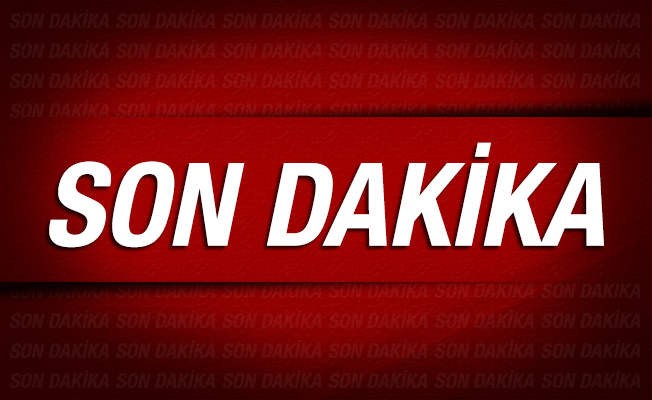 Hakkari'de 2 PKK'lı terörist yakalandı