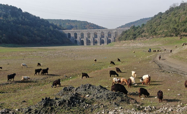 Alibeyköy barajı son 10 yılın en düşük ikinci seviyesinde