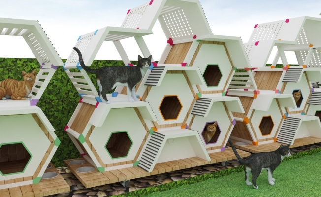 Sokak hayvanları için kedi ve köpek evleri tasarlandı