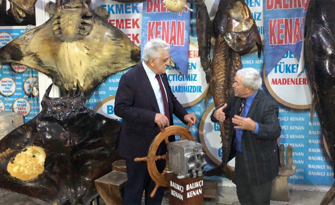 AK Parti Milletvekili Şamil Ayrım, mumya balıkları inceledi