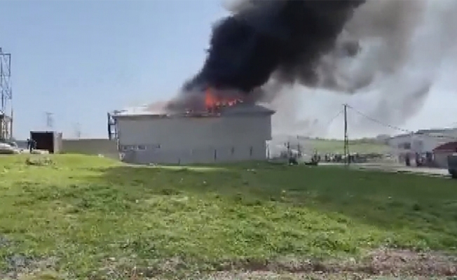 Arnavutköy'de fabrika çatısında yangın 