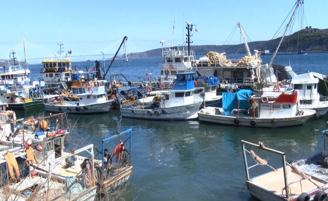 Balıkçılar: Mayın yüzünden 15 gün erken paydos ettik