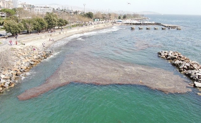 Caddebostan sahilinde deniz çekildi, yer yer kirlilik oluştu