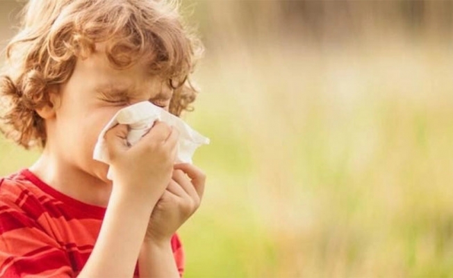 Küresel ısınma alerjik nezlelerin artış nedenlerinden