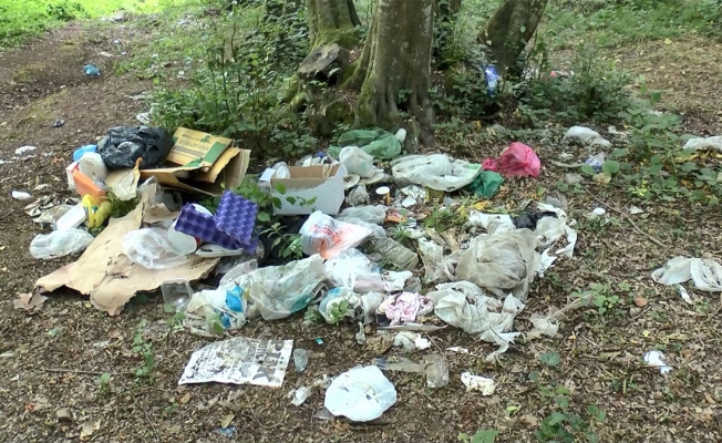 Belgrad Ormanı'nda piknikçilerden geriye çöpler kaldı