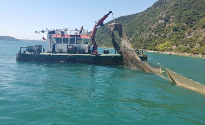 İstanbul Boğazı'ndaki kaçak dalyanlar kaldırıldı; on binlerce balık kurtarıldı 