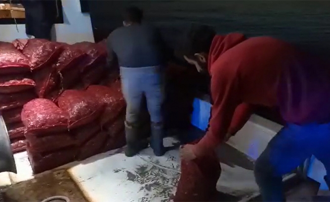 İstanbul Boğazı’nda yasa dışı midye avcıları suçüstü yakalandı