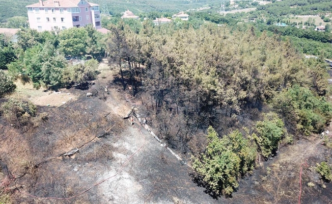 Beykoz'da orman yangını söndürüldü