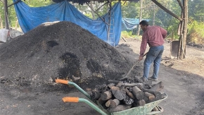 Şile’de mangal kömürü için ter döküyorlar