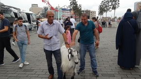 Keçisiyle Taksim'e çıktı, vatandaşların ilgi odağı oldu